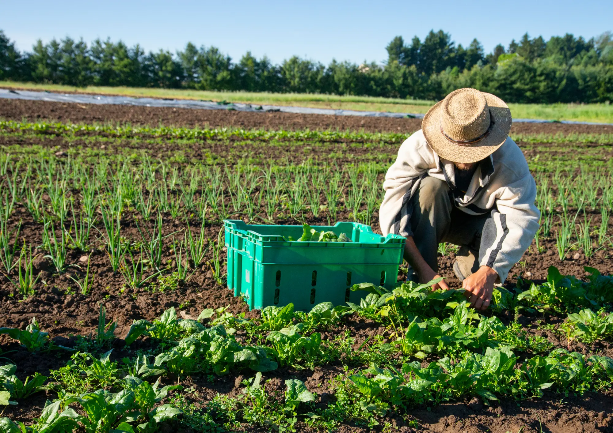 GFCLA_Work_Farming